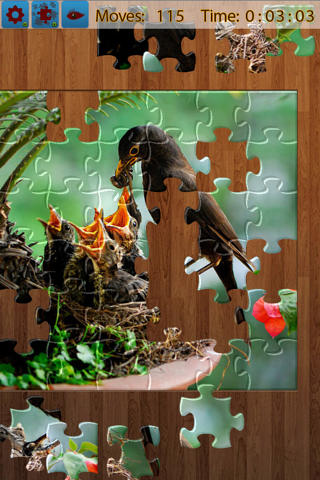 Birds Jigsaw Puzzles - Titan - náhled