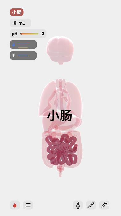 生命