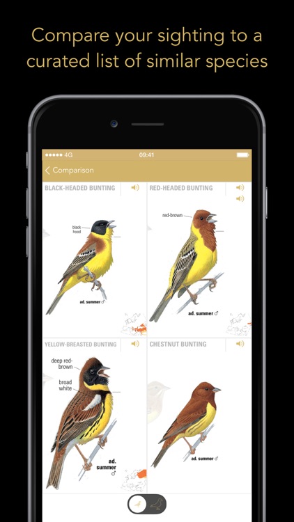 Collins Bird Guide screenshot-3