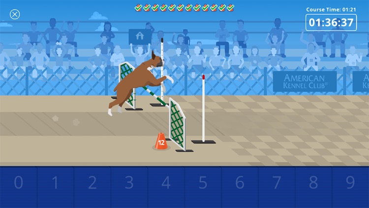 AKC Math Agility By American Kennel Club