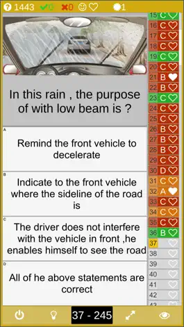 Game screenshot Chinese Driver's License apk