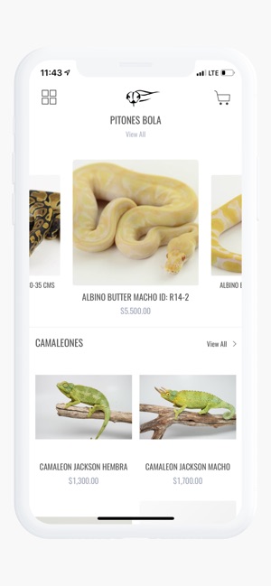 REPTILE TRADE(圖1)-速報App