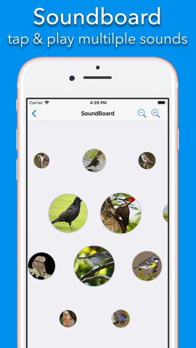 200+ Sounds of Birds screenshot 2