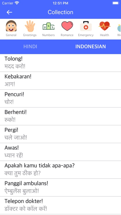 Hindi Indonesian Dictionary