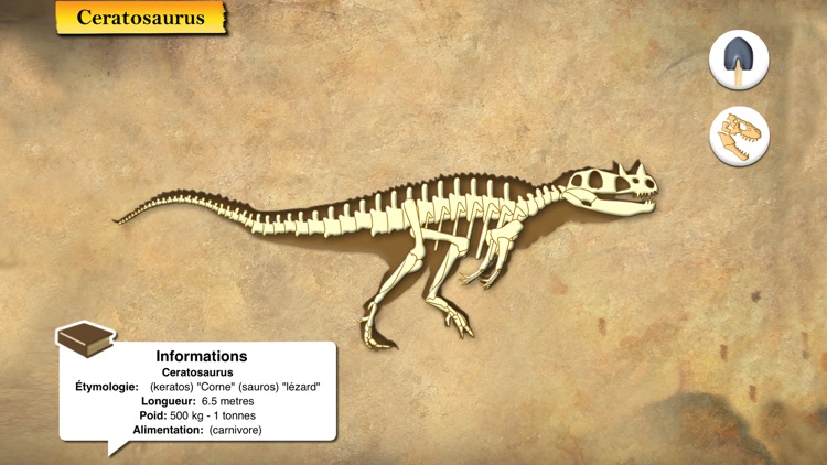 Dinosaures et Paléontologie