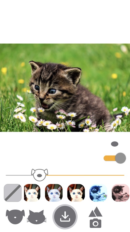 PetEasy - Dog Cat Pet Filter screenshot-6