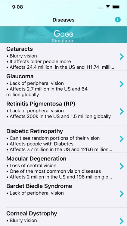 Gaoo: Vision Simulator