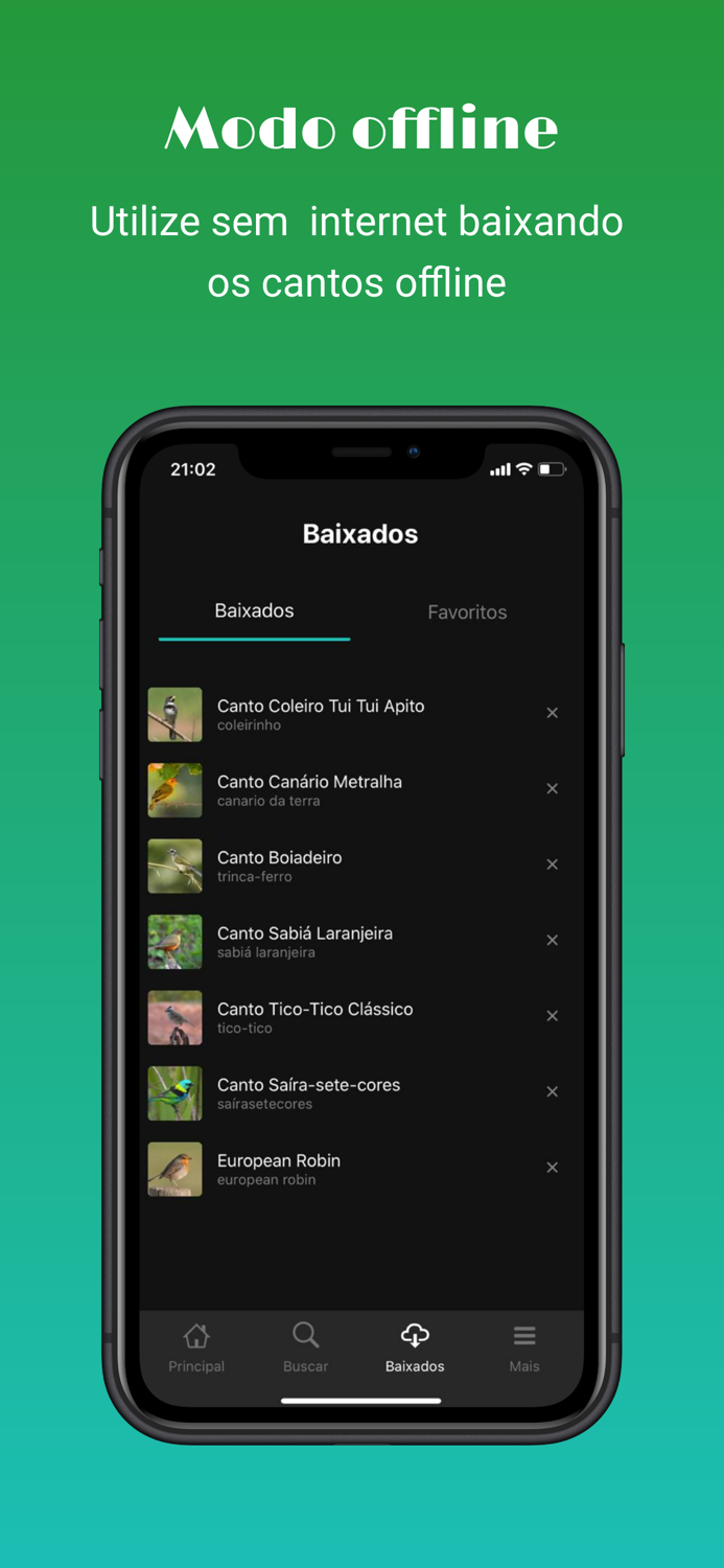 Cantos das Aves -Sons Pássaros