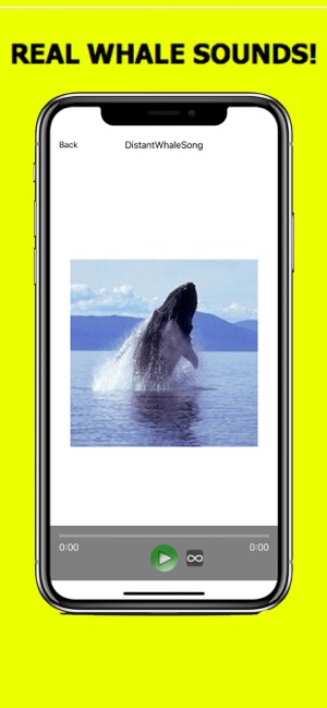 Whale Sounds!(圖1)-速報App