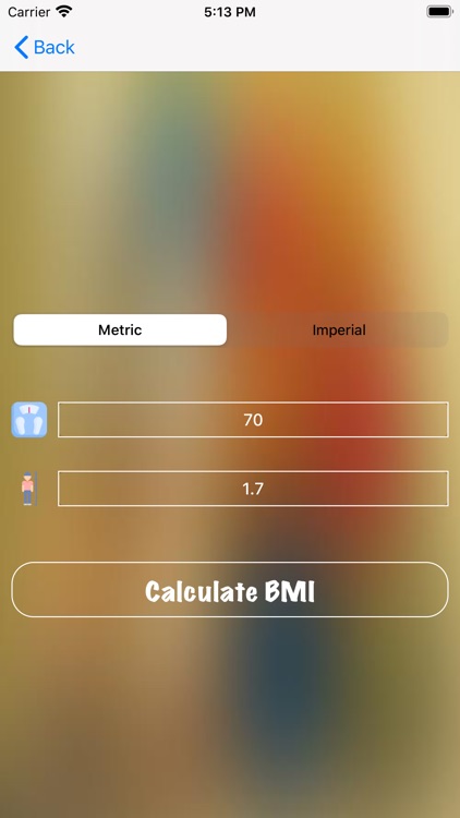 816 BMI Calculator Assistant