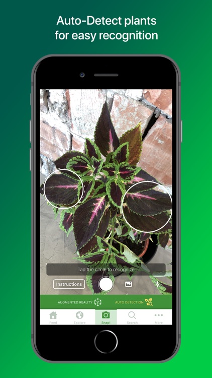 PlantSnap Pro: Identify Plants screenshot-5