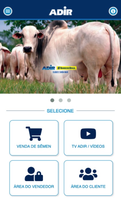 Grupo Adir