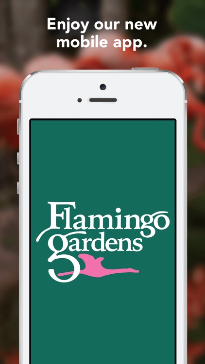 Flamingo Gardens