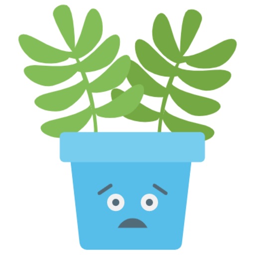 Cute Cactuss