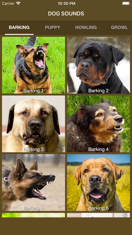 Dog Sounds - Collection