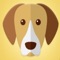 Do you want to know what dog breed you are