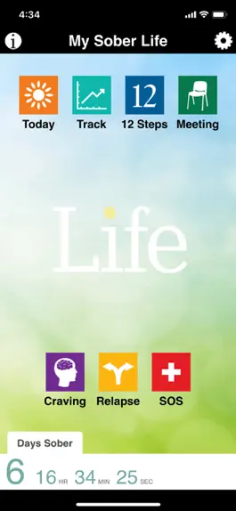 Game screenshot My Sober Life Pro apk