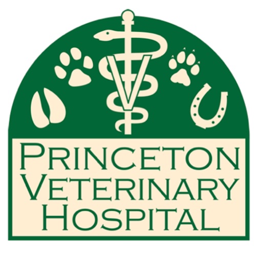 Princeton Veterinary Hospital