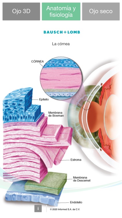 Oftalmología 3D - Ojo Seco