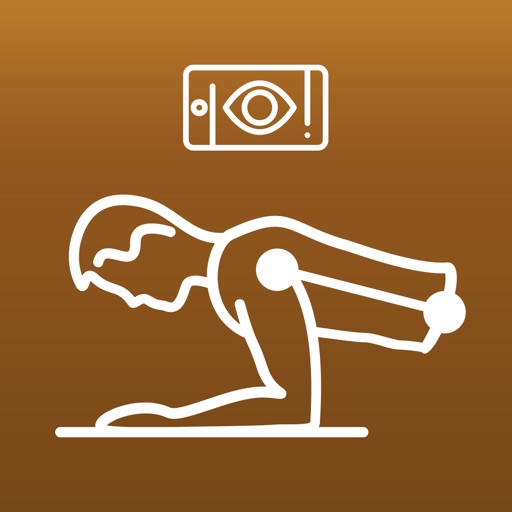 Flawless Plank Workout Icon