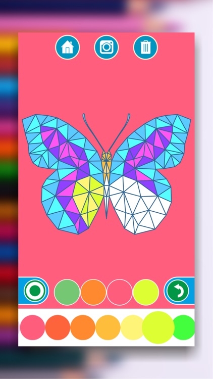 Coloring Books for Adults screenshot-3