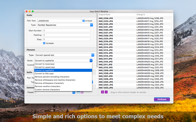 Easy Batch Rename(圖3)-速報App