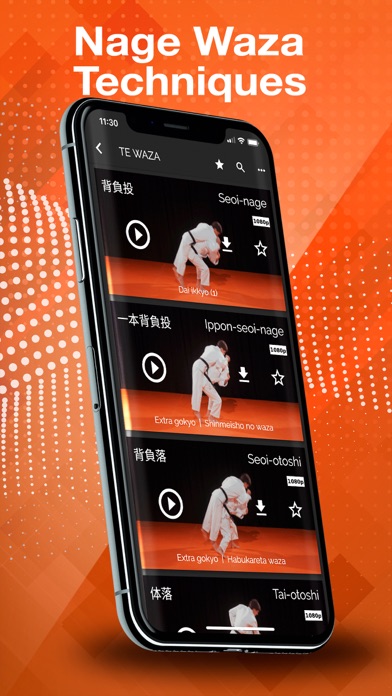 Judokai screenshot 3