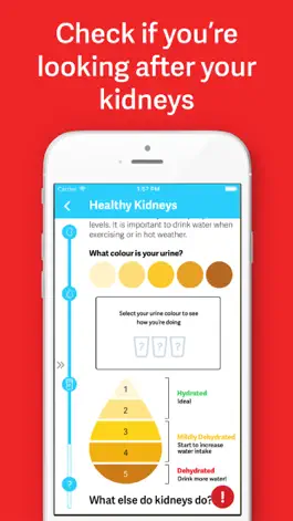 Game screenshot My Kidneys, My Health handbook hack