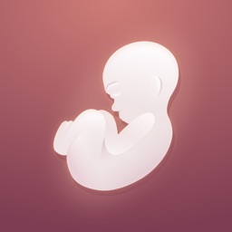 Baby AR – Pregnancy in 3D