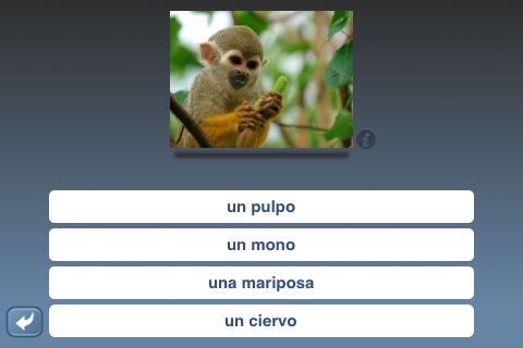 NounStar Language Study Mobile screenshot 3
