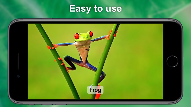 Sound App for Kids screenshot-3