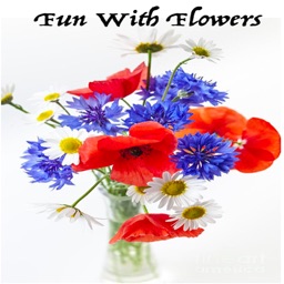 FunWithFlowers