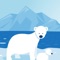 This is an educational application, mainly including pictures and knowledge introduction of Arctic and Antarctic animals, as well as interesting knowledge test