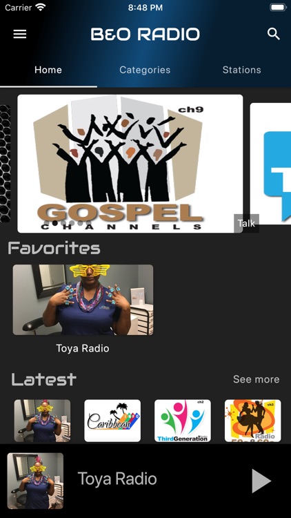 B and O Radio screenshot-3