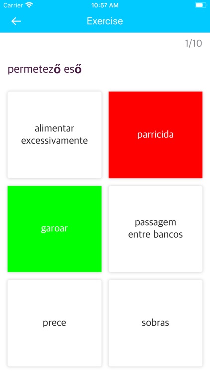 HungarianPortuguese Dictionary screenshot-3