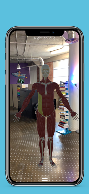 Anatomy AR+(圖5)-速報App