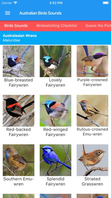 Australian Birds Sounds