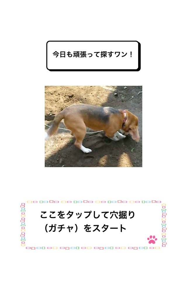 わんこ天気〜天気予報＆可愛い犬の写真〜 screenshot 2
