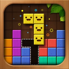 Activities of Wood Color Block: Puzzle Game