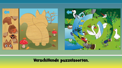 Puzzels voor kinderen leerzaam screenshot 2