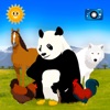 Animal World: Find Them All! Animal World: Find Them All!