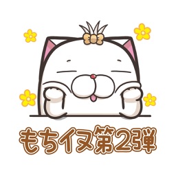 フレンチブルドッグモチちゃん 2 (JP)