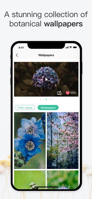 PictureThis - Plant Identifier(圖5)-速報App