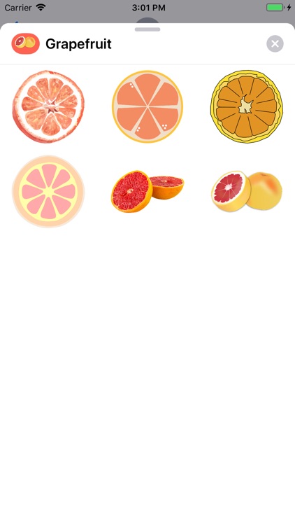 Grapefruit Stickers