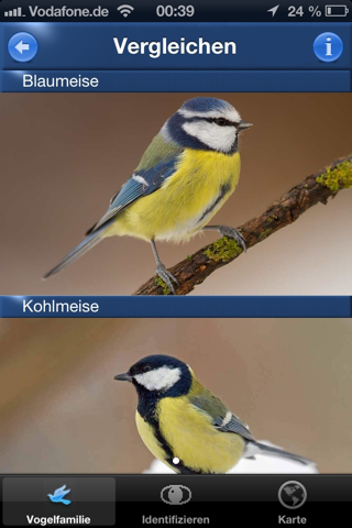 Vogel Id Gartenvögel bestimmen - náhled