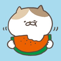 夏カラー色々にゃんこステッカー pour PC