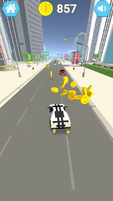 Kamikaze Race 2020 screenshot 4