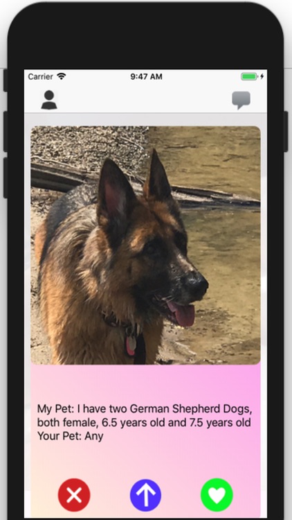 Pet Lovin': Dating App screenshot-9