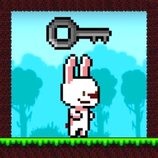 Activities of Rabbit Runner - Platform Games