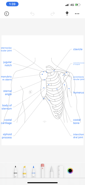 Body coloring book(圖4)-速報App